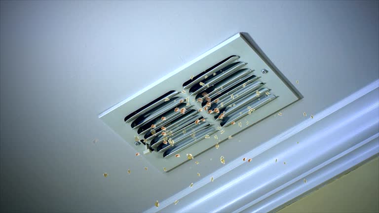 Ventilation Cleaning Services in NV