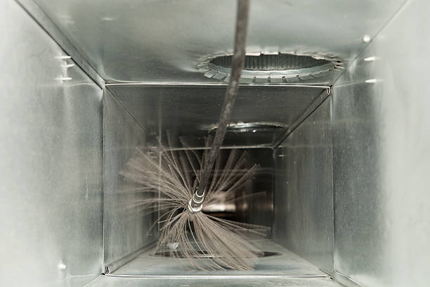 Best Residential Air Duct Cleaning  in Pioche, NV